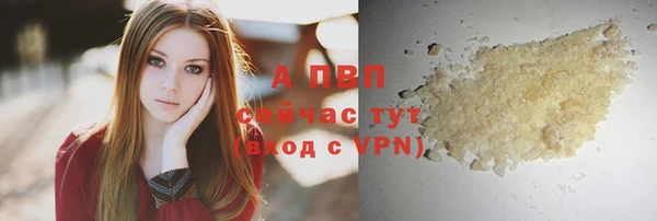 винт Алексин