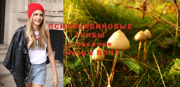 каннабис Алексеевка