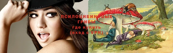винт Алексин