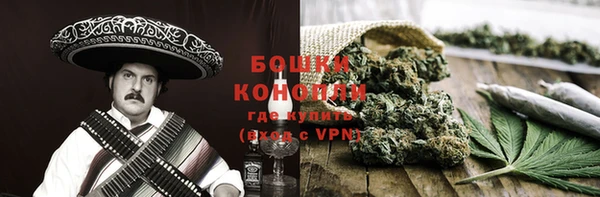 гидра Инта