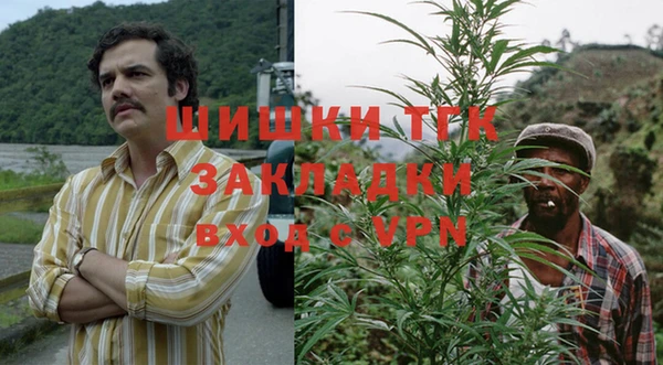 твердый Инсар
