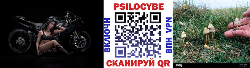 Псилоцибиновые грибы Magic Shrooms Темрюк