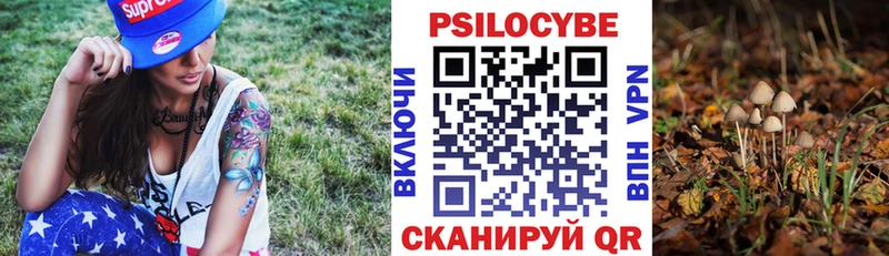 Галлюциногенные грибы мухоморы  купить наркоту  MEGA онион  Темрюк 